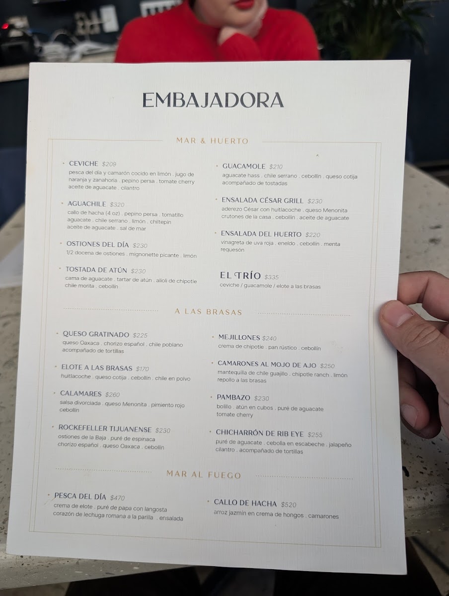 Embajadora Menu - Image 5